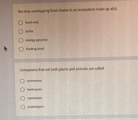 the may overlapping food chains in an ecosystern make up a(n)
food web
niche
energy pyramid
feeding level
Consumers that eat both plants and animals are called
omnivores
herbivores
carnivores
scavengers