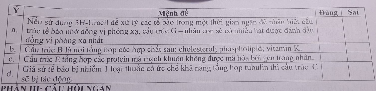 Phần III: cầu Hỏi ngắn