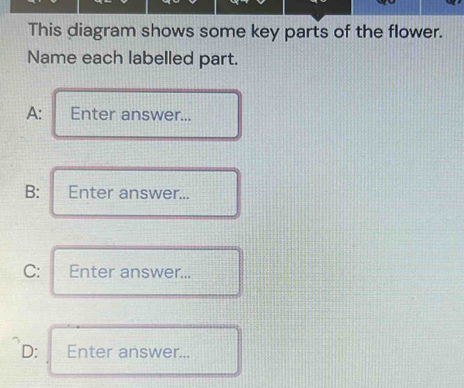 Solved: This diagram shows some key parts of the flower. Name each ...