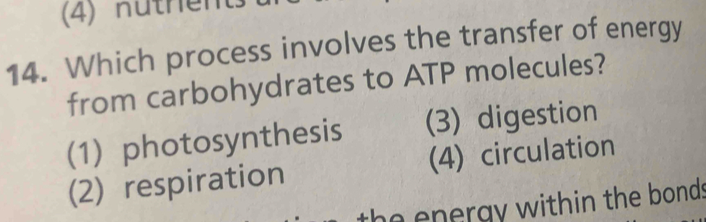 (4) nüther
14. Which process involves the transfer of energy
from carbohydrates to ATP molecules?
(1) photosynthesis (3) digestion
(2) respiration (4) circulation
the energy within the bonds