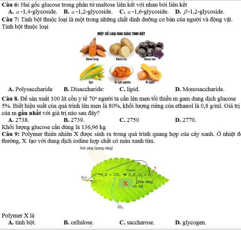 Cầu 6: Hai gốc glucose trong phân tử maltose liên kết với nhau bởi liên kết
A. α -1,4-glycoside. B. alpha -1 ,2-glycoside. C. alpha -1 ,6 -glycoside. D. β-1,2-glycoside.
Câu 7: Tinh bột thuộc loại là một trong những chất đinh đưỡng cơ bản của người và động vật.
Tinh bột thuộc loại
A. Polysaccharide B. Disaccharide: C. lipid. D. Monosaccharide.
Câu 8. Để sản xuất 100 lít cồn y tế 70° người ta cần lên men tối thiểu m gam dung dịch glucose
5%. Biết hiệu suất của quá trình lên men là 80%, khổi lượng riêng của ethanol là 0,8 g/ml. Giá trị
của m gần nhất với giá trị nào sau đây?
A. 2738. B. 2739. C. 2750 D. 2770.
Khối lượng glucose cần dùng là 136,96 kg
Cầu 9: Polymer thiên nhiên X được sinh ra trong quá trình quang hợp của cây xanh. Ở nhiệt đã
thường, X tạo với dung dịch iodine hợp chất có màu xanh tím.
Ánh sáng [quang năng]
Polymer X là
A. tinh bột. B. cellulose. C. saccharose. D. glycogen.