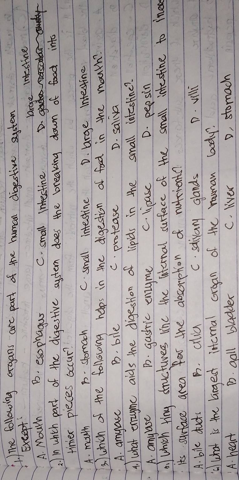 The following organs are part of the human digestive system
Exeept
large intestine
A. Mourh B. essphagus C. small intestine D.
2. Iin which part of the digestive system does the breaking down of food into
tinier pieces occur?
A. mouth B. stomach C. small intestine D. brge Intectine
3 )which of the following helps in the digestion of food in the mouth?
A. amyase B. bile C. protease D. saliva
A. what enzyme aids the digeshion of lipids in the small inteshine?
A. amyase B. gastric enzyme C. lipase D. pepsin
a) which Hing structures line the Internal surface of the small intestine to ineve
its surface area far the alsorption of nutrients?
A. bile ducks B. alia C. salivary glands D. villi
(al What is the largest internal corgan of the rouman boody?
A. heart D. gall bladder C. liver
o, stomach