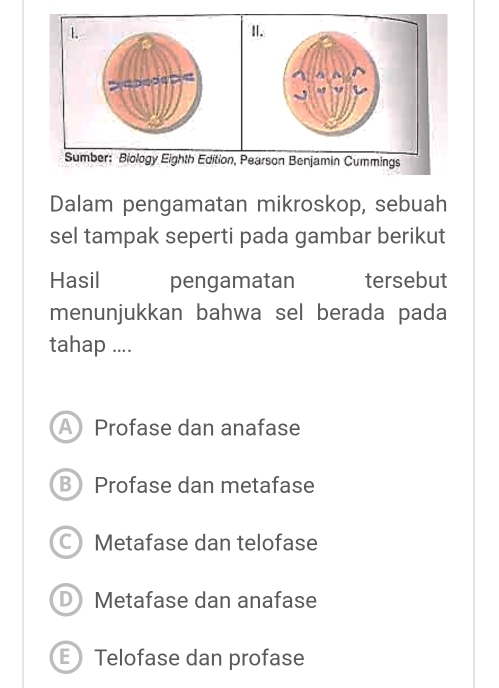 Sumber: Biology Eighth Edition, Pearson Benjamin Cummings
Dalam pengamatan mikroskop, sebuah
sel tampak seperti pada gambar berikut
Hasil pengamatan tersebut
menunjukkan bahwa sel berada pada
tahap ....
A Profase dan anafase
B Profase dan metafase
C Metafase dan telofase
D Metafase dan anafase
Telofase dan profase