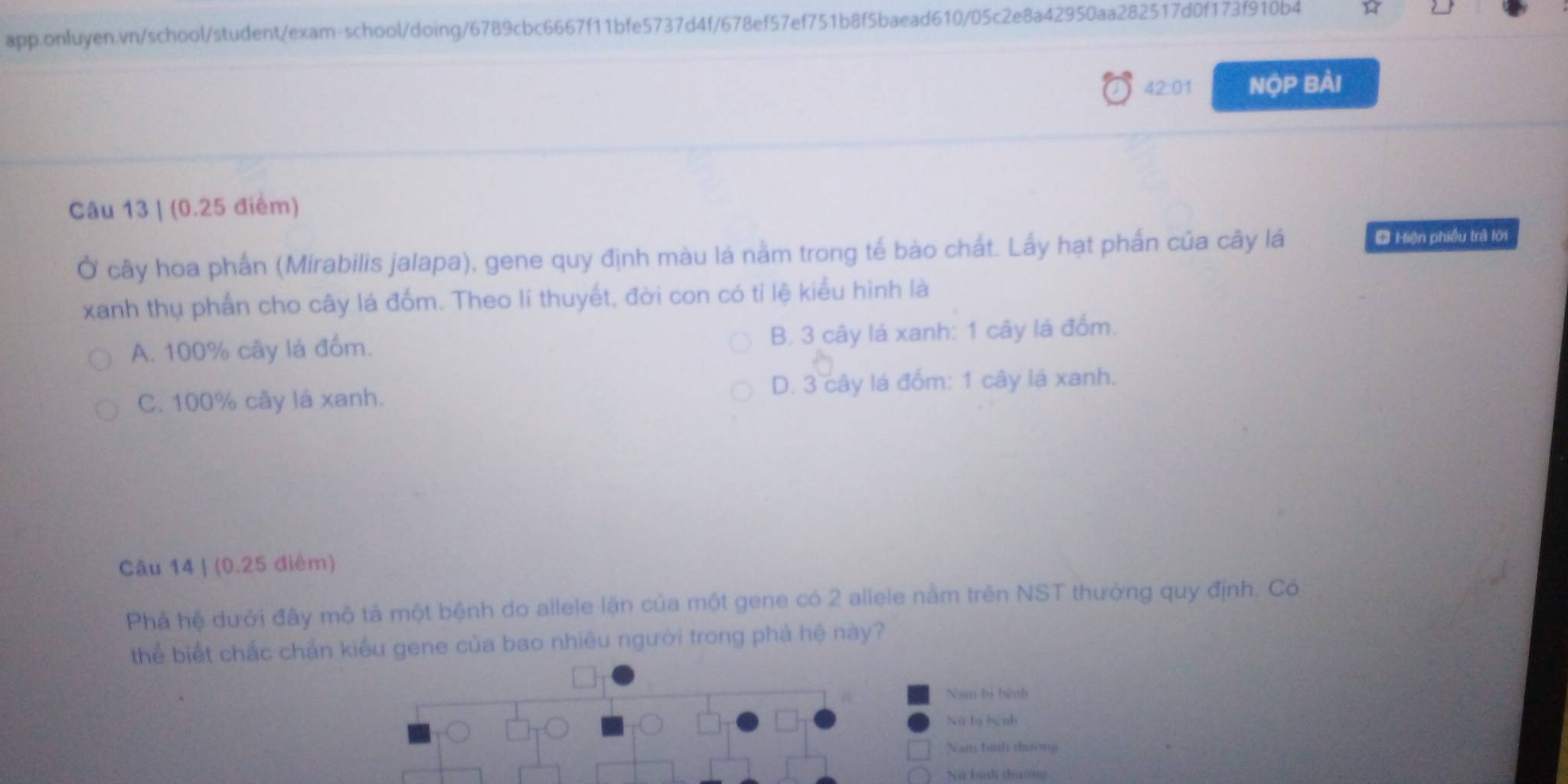 1
42:01 NộP Bải
Câu 13 | (0.25 điểm)
Ở cây hoa phần (Mirabilis jalapa), gene quy định màu lá nằm trong tế bào chất. Lấy hạt phần của cây lá
# Hiện phiều trà lới
xanh thụ phần cho cây lá đốm. Theo lí thuyết, đời con có tỉ lệ kiểu hình là
A. 100% cây lá đốm. B. 3 cây lá xanh: 1 cây lá đồm.
C. 100% cây lá xanh. D. 3 cây lá đồm: 1 cây lá xanh.
Câu 14 | (0.25 điểm)
Phả hệ dưới đây mô tả một bệnh do allele lặn của một gene có 2 allele nằm trên NST thưởng quy định. Có
thể biết chắc chấn kiểu gene của bao nhiêu người trong phá hệ này?
Nam bị bệnh
Nú by bành
Nam bình thương
Nữ bnh thường