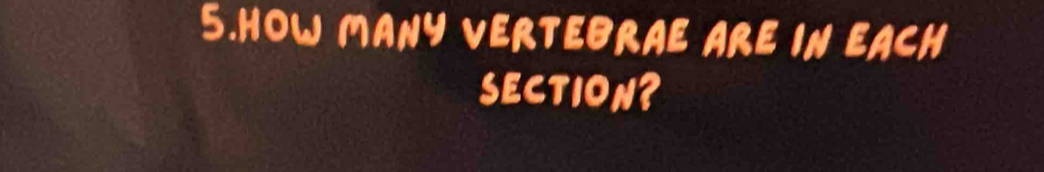 HOW MANY VERTEBRAE ARE IN EACH 
SECTION?