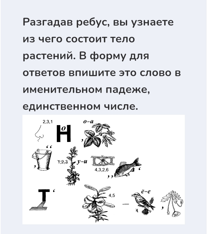 Разгадав ребус, вы узнаете 
из чего состоит тело 
ρастений. В форму для 
ответов Βлишите это слово в 
именительном падеже, 
единственном числе.