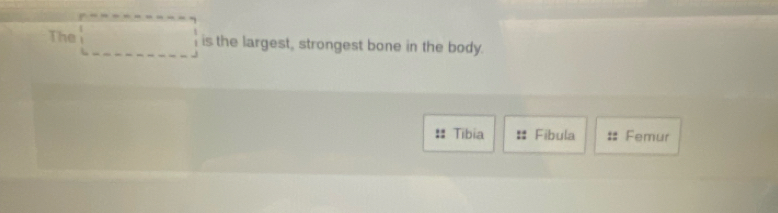 The is the largest, strongest bone in the body.
Tibia Fibula Femur