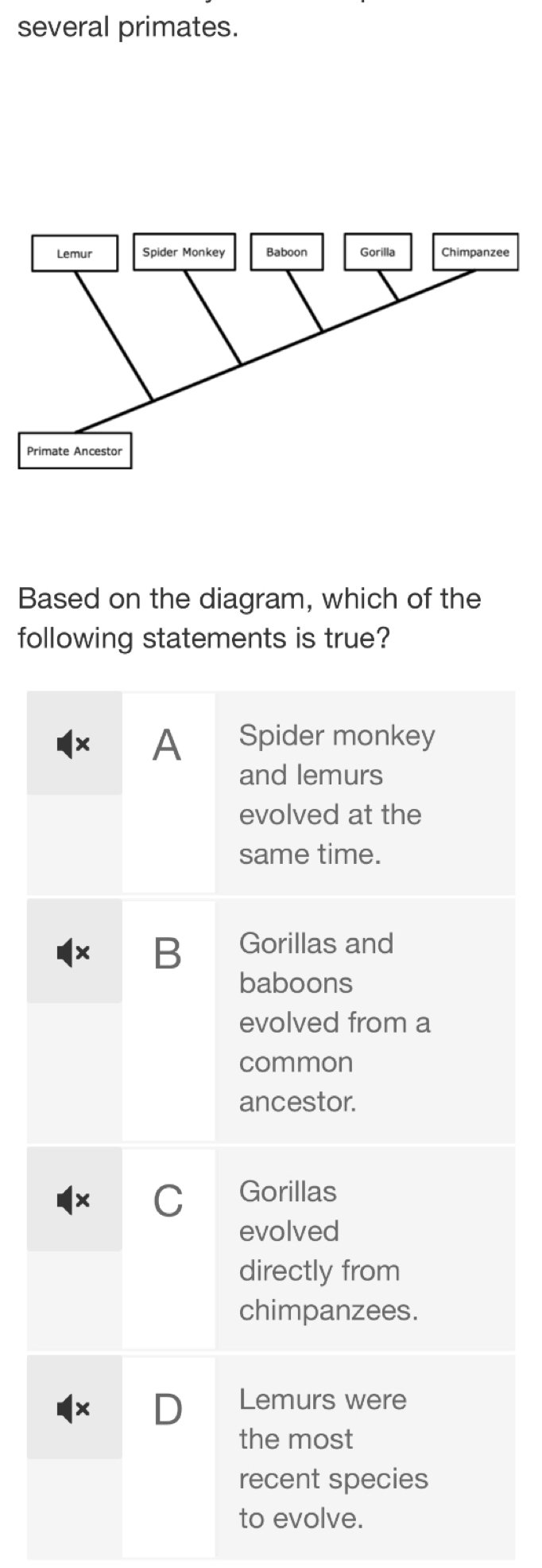 several primates.
Based on the diagram, which of the
following statements is true?
x A Spider monkey
and lemurs
evolved at the
same time.
B Gorillas and
baboons
evolved from a
common
ancestor.
C Gorillas
evolved
directly from
chimpanzees.
x D Lemurs were
the most
recent species
to evolve.