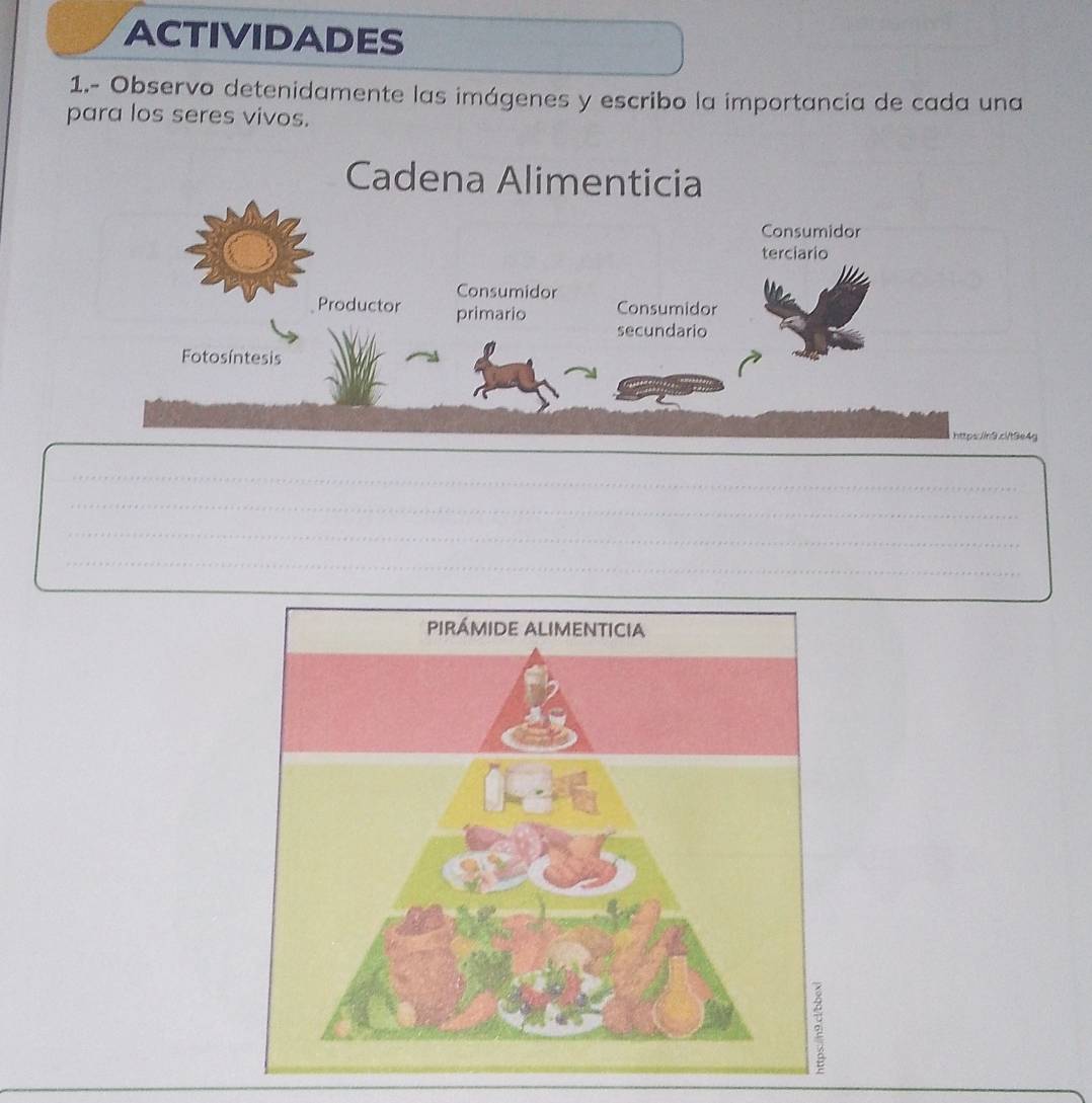 ACTIVIDADES 
1.- Observo detenidamente las imágenes y escribo la importancia de cada una 
para los seres vivos.