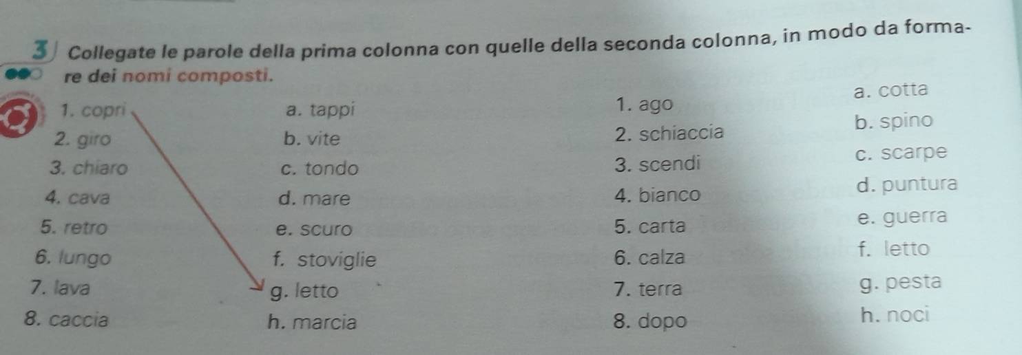 Collegate le parole della prima colonna con quelle della seconda colonna, in modo da forma-
re dei nomi composti.
1. copri a. tappi 1. ago a. cotta
2. giro b. vite 2. schiaccia
b. spino
3. chiaro c. tondo 3. scendi c. scarpe
4. cava d. mare 4. bianco d. puntura
5. retro e. scuro 5. carta e. guerra
6. lungo f. stoviglie 6. calza f. letto
7. lava g. letto 7. terra g. pesta
8. caccia h. marcia 8. dopo h. noci