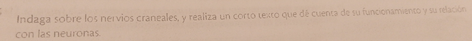 Indaga sobre los nervios craneales, y realiza un corto texto que dé cuenta de su funcionamiento y su relación 
con las neuronas.