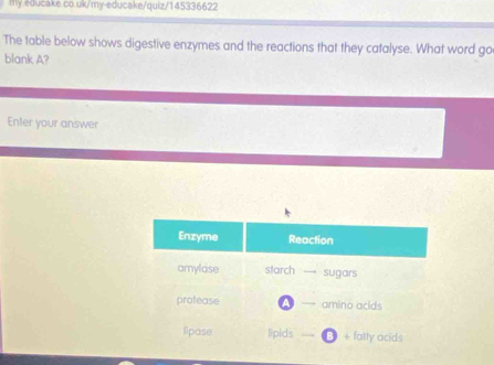 The table below shows digestive enzymes and the reactions that they catalyse. What word go 
blank A? 
Enter your answer