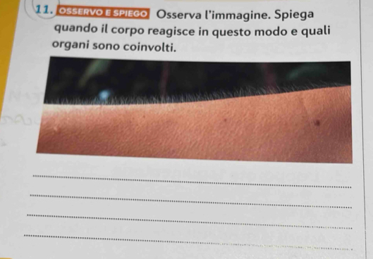 Oservo e spiego Osserva l'immagine. Spiega 
quando il corpo reagisce in questo modo e quali 
organi sono coinvolti. 
_ 
_ 
_ 
_