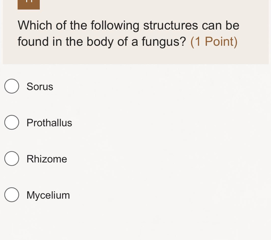 Which of the following structures can be
found in the body of a fungus? (1 Point)
Sorus
Prothallus
Rhizome
Mycelium