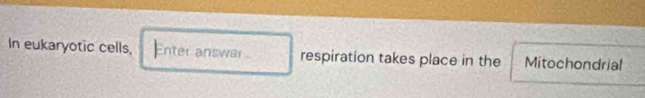 In eukaryotic cells, Enter answer respiration takes place in the Mitochondrial