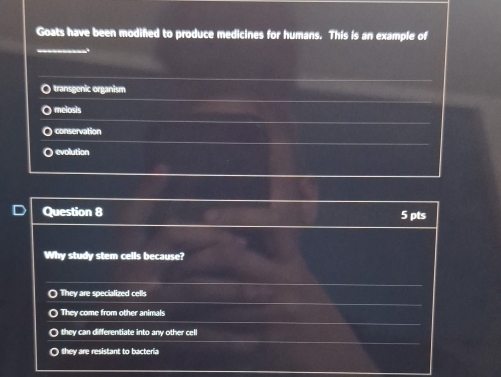 Goats have been modifed to produce medicines for humans. This is an example of
) transgenic organism
melosis
conservation
O evolution
Question 8 5 pts
Why study stem cells because?
) They are specialized cells
They come from other animals
) they can differentiate into any other cell
O they are resistant to bacteria