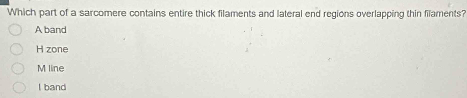 Which part of a sarcomere contains entire thick filaments and lateral end regions overlapping thin filaments?
A band
H zone
M line
I band