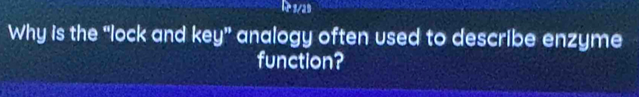 s/as 
Why is the “lock and key” analogy often used to describe enzyme 
function?