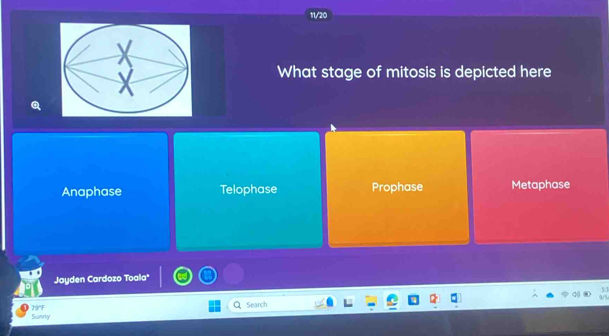 11/20
What stage of mitosis is depicted here
Anaphase Telophase Prophase Metaphase
Jayden Cardozo Toala*
Sunny 79°F
Search