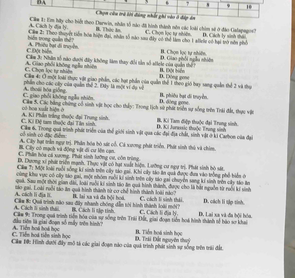 biết theo Darwin, nhân tố nào đã hình thành nên các loài chim sẻ ở đảo Galapagos?
A. Cách ly địa lý. B. Thức ăn. C Chọn lọc tự nhiên. D. Cách ly sinh thái.
Câu 2: Theo thuyết tiền hóa hiện đại, nhân tố nào sau đây có thể làm cho 1 allele có hại trở nên phố
biến trong quần thể?
A. Phiêu bạt di truyền. B. Chọn lọc tự nhiên.
C.Đột biến. D. Giao phối ngẫu nhiên
Câu 3: Nhân tố nào dưới đây không làm thay đổi tần số allele của quần thể?
A. Giao phối không ngẫu nhiên B. Đột biến
C. Chọn lọc tự nhiên D. Dòng gene
Câu 4: Ở một loài thực vật giao phần, các hạt phần của quần thể 1 theo gió bay sang quần thể 2 và thụ
phần cho các cây của quần thể 2. Đây là một ví dụ về
A. thoái hóa giống. B. phiêu bạt di truyền.
C. giao phối không ngẫu nhiên. D. dòng gene.
Câu 5. Các bằng chứng cổ sinh vật học cho thấy: Trong lịch sử phát triển sự sống trên Trái đất, thực vật
cỏ hoa xuất hiện ở
A. Ki Phần trắng thuộc đại Trung sinh. B. Kỉ Tam điệp thuộc đại Trung sinh.
C. Ki Đệ tam thuộc đại Tân sinh. D. Ki Jurassic thuộc Trung sinh
Câu 6. Trong quá trình phát triển của thế giới sinh vật qua các đại địa chất, sinh vật ở kì Carbon của đại
cổ sinh có đặc điểm:
A. Cây hạt trần ngự trị. Phân hóa bò sát cổ. Cá xương phát triển. Phát sinh thú và chim.
B. Cây có mạch và động vật di cư lên cạn.
C. Phân hỏa cá xương. Phát sinh lưỡng cư, côn trùng.
D. Dương xỉ phát triển mạnh. Thực vật có hạt xuất hiện. Lưỡng cư ngự trị. Phát sinh bò sát.
Câu 7: Một loài ruồi sống kí sinh trên cây táo gai. Khi cây táo ăn quả được đưa vào trồng phổ biến ở
cùng khu vực có cây táo gai, một nhóm ruồi kí sinh trên cây táo gai chuyển sang kí sinh trên cây táo ăn
quả. Sau một thời gian dài, loài ruồi kí sinh táo ăn quả hình thành, được cho là bắt nguồn từ ruồi kí sinh
táo gai. Loài ruồi táo ăn quả hình thành từ cơ chế hình thành loài nào?
A. cách li địa lí. B. lai xa và đa bội hoá. C. cách li sinh thái. D. cách li tập tính.
Câu 8: Quá trình nào sau đây nhanh chóng dẫn tới hình thành loài mới?
A. Cách li sinh thái. B. Cách li tập tính. C. Cách li địa lý. D. Lai xa và đa bội hóa.
Câu 9: Trong quá trình tiến hóa của sự sống trên Trái Đất, giai đoạn tiến hoá hình thành tế bào sơ khai
đầu tiên là giai đoạn số mấy trên hình?
A. Tiến hoá hoá học B. Tiến hoá sinh học
C. Tiến hoá tiền sinh học D. Trái Đất nguyên thuỷ
Câu 10: Hình dưới đây mô tả các giai đoạn nào của quá trình phát sinh sự sống trên trái đất.
