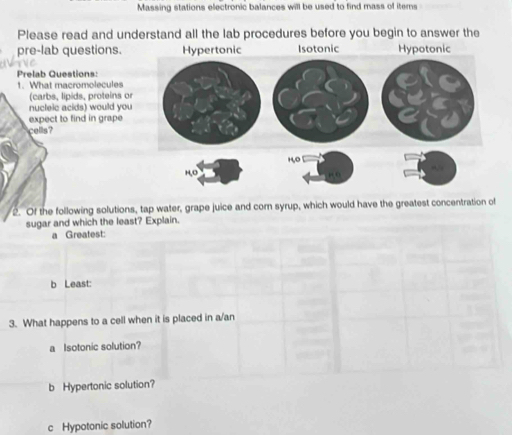 Massing stations electronic balances will be used to find mass of iterns 
Please read and understand all the lab procedures before you begin to answer the 
pre-lab questions. 
Prelab Questions: 
1. What macromolecules 
(carbs, lipids, proteins or 
nucleic acids) would you 
expect to find in grape 
cells? 
2. Of the following solutions, tap water, grape juice and cor syrup, which would have the greatest concentration of 
sugar and which the least? Explain. 
a Greatest: 
b Least: 
3. What happens to a cell when it is placed in a/an 
a Isotonic solution? 
b Hypertonic solution? 
c Hypotonic solution?