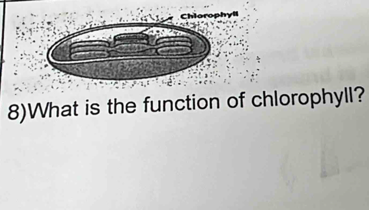 Chlorophyll 
8)What is the function of chlorophyll?