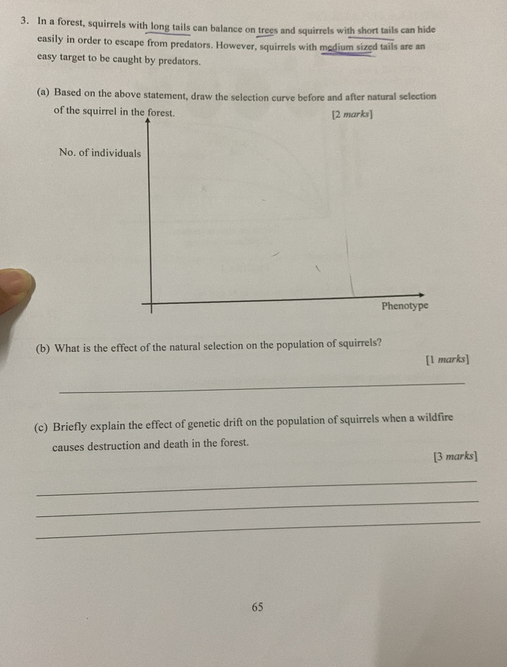 In a forest, squirrels with long tails can balance on trees and squirrels with short tails can hide 
easily in order to escape from predators. However, squirrels with medium sized tails are an 
easy target to be caught by predators. 
(a) Based on the above statement, draw the selection curve before and after natural selection 
of the squirrel in the forest. [2 marks] 
No. of individuals 
Phenotype 
(b) What is the effect of the natural selection on the population of squirrels? 
[1 marks] 
_ 
(c) Briefly explain the effect of genetic drift on the population of squirrels when a wildfire 
causes destruction and death in the forest. 
[3 marks] 
_ 
_ 
_ 
65