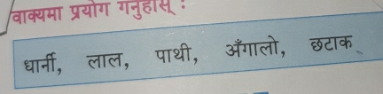 वाक्यमा प्रयोग गनुहसू ! 
धार्नी, लाल, पाथी, ऑँगालो, छटाक