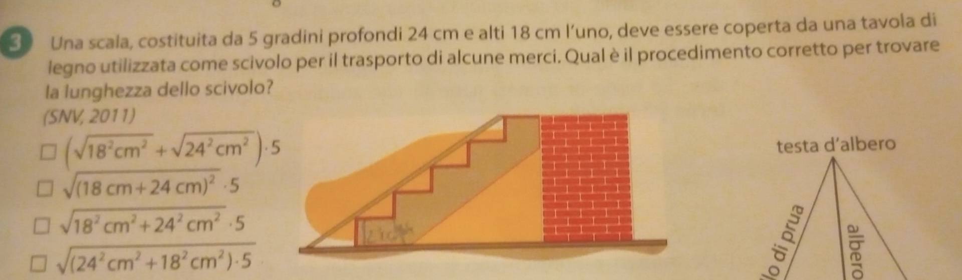 Una scala, costituita da 5 gradini profondi 24 cm e alti 18 cm l’uno, deve essere coperta da una tavola di
legno utilizzata come scivolo per il trasporto di alcune merci. Qual è il procedimento corretto per trovare
la lunghezza dello scivolo?
(SNV, 2011)
(sqrt(18^2cm^2)+sqrt(24^2cm^2))· 5
testa d’albero

sqrt((18cm+24cm)^2)· 5
sqrt(18^2cm^2+24^2cm^2)· 5
sqrt((24^2cm^2+18^2cm^2)· 5)