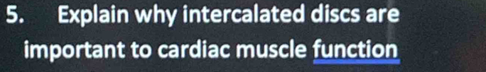 Explain why intercalated discs are 
important to cardiac muscle function