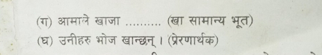 (ग) आमाले खाजा .......... (खा सामान्य भूत) 
(घ) उनीहरु भोज खान्छन् । (प्रेरणार्थक)