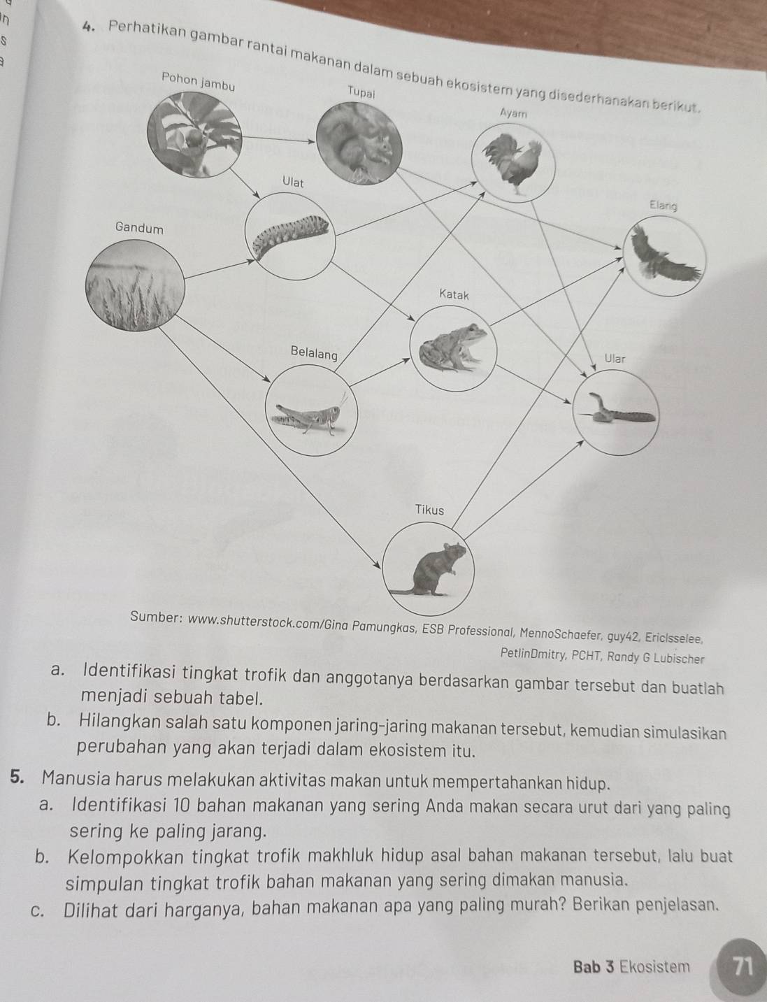 Perhatikan gambar rantai mak 
, ESB Professional, MennoSchaefer, guy42, Ericlsselee, 
PetlinDmitry, PCHT, Randy G Lubischer 
a. Identifikasi tingkat trofik dan anggotanya berdasarkan gambar tersebut dan buatlah 
menjadi sebuah tabel. 
b. Hilangkan salah satu komponen jaring-jaring makanan tersebut, kemudian simulasikan 
perubahan yang akan terjadi dalam ekosistem itu. 
5. Manusia harus melakukan aktivitas makan untuk mempertahankan hidup. 
a. Identifikasi 10 bahan makanan yang sering Anda makan secara urut dari yang paling 
sering ke paling jarang. 
b. Kelompokkan tingkat trofik makhluk hidup asal bahan makanan tersebut, lalu buat 
simpulan tingkat trofik bahan makanan yang sering dimakan manusia. 
c. Dilihat dari harganya, bahan makanan apa yang paling murah? Berikan penjelasan. 
Bab 3 Ekosistem 71