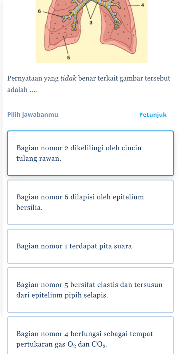 Pernyataan yang tidak benar terkait gambar tersebut
adalah ....
Pilih jawabanmu Petunjuk
Bagian nomor 2 dikelilingi oleh cincin
tulang rawan.
Bagian nomor 6 dilapisi oleh epitelium
bersilia.
Bagian nomor 1 terdapat pita suara.
Bagian nomor 5 bersifat elastis dan tersusun
dari epitelium pipih selapis.
Bagian nomor 4 berfungsi sebagai tempat
pertukaran gas O_2 dan CO_2.