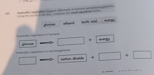 Anaerobic respiration happens differently in humans and microorganisms. 
Lising the words in the box, complete the word equations below. 
glucose ethanol lactic acid energy 
Anaerobic respiration in humans: 
glucose □ + energy 
Anaerobic respiration in microorganisms:
□ carbon dioxide +□ +□