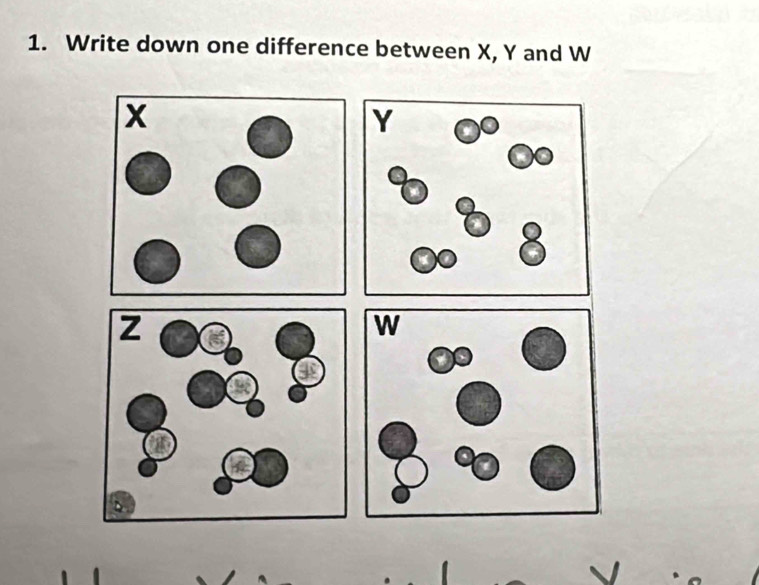 Write down one difference between X, Y and W