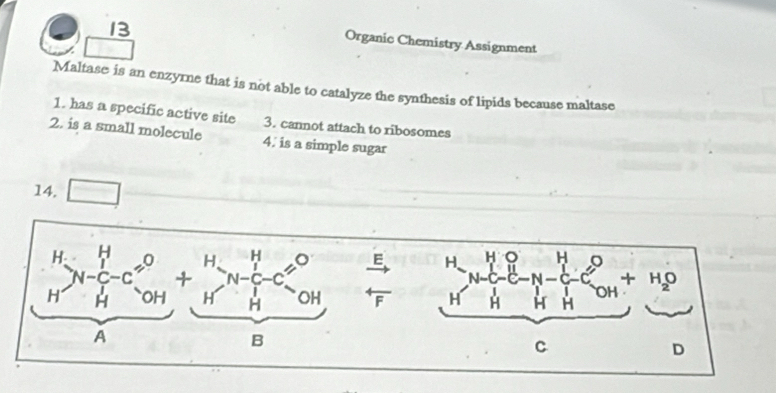 Organic Chemistry Assignment
Maltase is an enzyrne that is not able to catalyze the synthesis of lipids because maltase
1. has a specific active site 3. cannot attach to ribosomes
2. is a small molecule 4. is a simple sugar
14, □
H>H- H/H -C_(OH)^O+ H/H to H- H/H -C_(OH)^O - beginarrayr E rightarrow + vector end(array)^H^H_H-C^(H-H-)^Hto He^H_OH+H_ 
2 _  
=
C
D