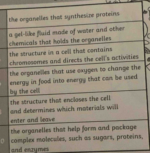 and enzymes