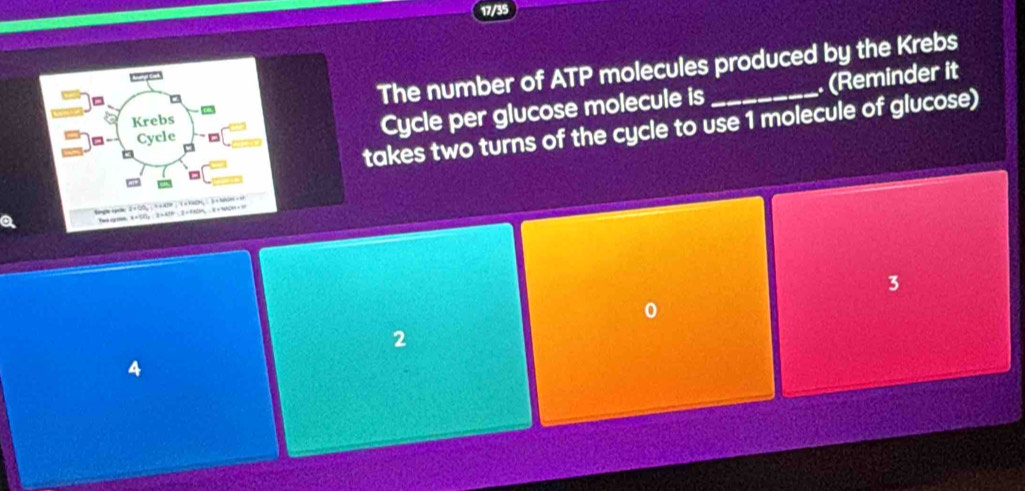 17/35
Krebs The number of ATP molecules produced by the Krebs
= takes two turns of the cycle to use 1 molecule of glucose)
Cycle
Cycle per glucose molecule is . (Reminder it
ngle Agnle 2× 00, , 4× KDe ) ( ×KaCH, ∴ à × Nukl +
3
0
2