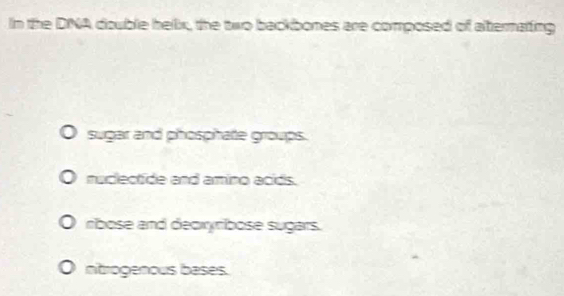 In the DINA double hellix, the two backbones are composed of altermating
sugar and phosphate groups.
ruclectide and amino acids.
rbose and deoxyrbose sugars.
ntrogenous bases.