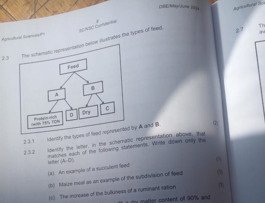 DBE/May/June 2024 
Agricultural Sci 
Th 
SC/NSC Confidential 8 
Agricultural Sciences/P1 
2.3illustrates the types of feed 
2.7 a 
2.3.1 Identify the types of feed represented by A and B. 
(2) 
2.3.2 Identify the letter, in the schematic representation above, that 
matches each of the following statements. Write down only the 
letter (A-D). 
(1) 
(a) An example of a succulent feed 
(b) Maize meal as an example of the subdivision of feed 
(1) 
(c) The increase of the bulkiness of a ruminant ration 
(1) 
dry matter content of 90% and