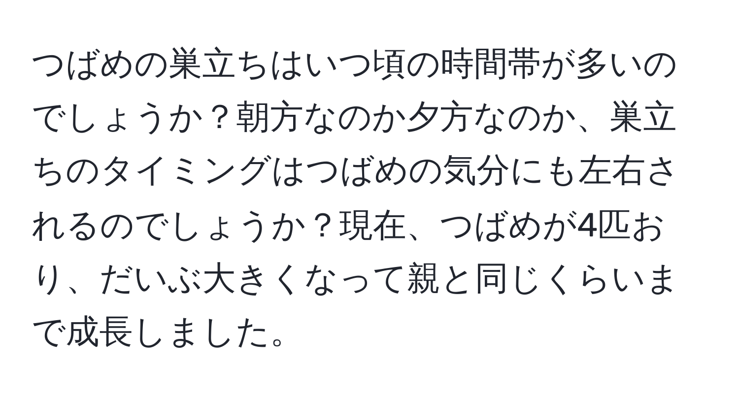 つばめの巣立ちはいつ頃の時間帯が多いのでしょうか？朝方なのか夕方なのか、巣立ちのタイミングはつばめの気分にも左右されるのでしょうか？現在、つばめが4匹おり、だいぶ大きくなって親と同じくらいまで成長しました。