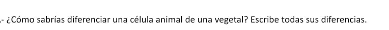 A- ¿Cómo sabrías diferenciar una célula animal de una vegetal? Escribe todas sus diferencias.