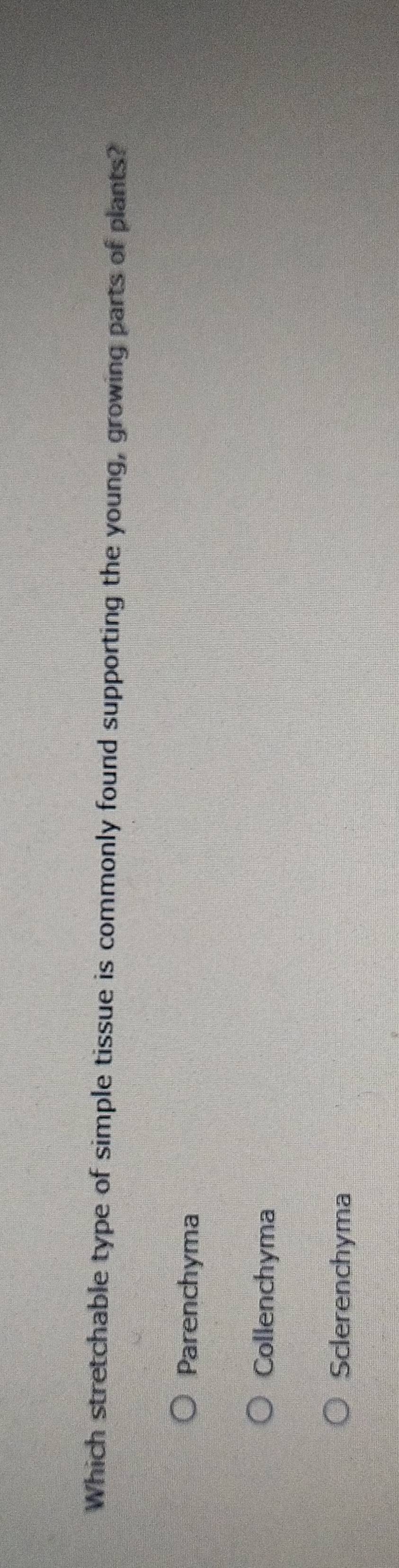 Which stretchable type of simple tissue is commonly found supporting the young, growing parts of plants?
Parenchyma
Collenchyma
Sclerenchyma