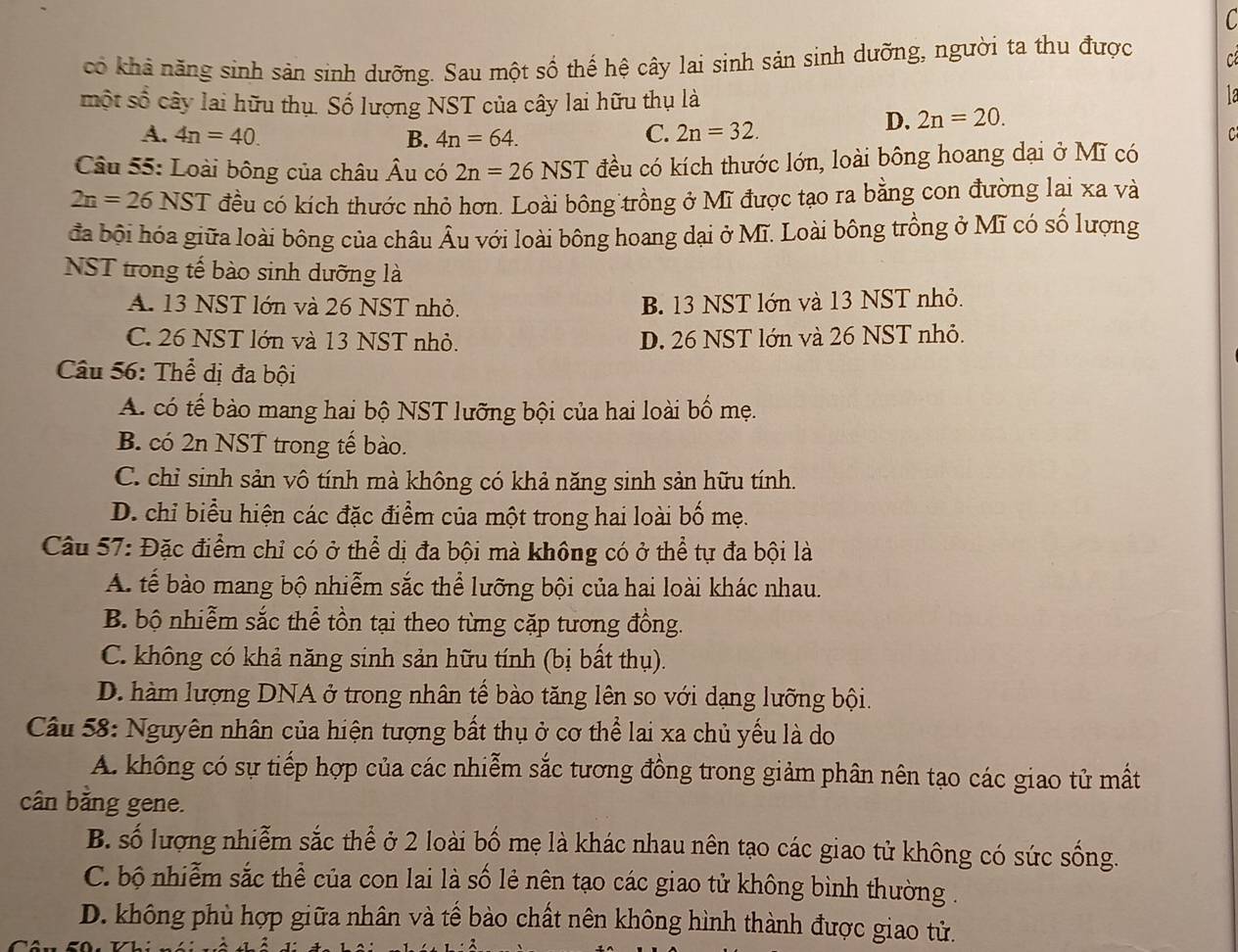 có khả năng sinh sản sinh dưỡng. Sau một số thế hệ cây lai sinh sản sinh dưỡng, người ta thu được C
một số cây lai hữu thụ. Số lượng NST của cây lai hữu thụ là
D. 2n=20.
A. 4n=40. B. 4n=64. C. 2n=32. C
Câu 55: Loài bông của châu Âu có 2n=26NST đều có kích thước lớn, loài bông hoang dại ở Mĩ có
2n=26NST T đều có kích thước nhỏ hơn. Loài bông trồng ở Mĩ được tạo ra bằng con đường lai xa và
đa bội hóa giữa loài bông của châu Âu với loài bông hoang dại ở Mĩ. Loài bông trồng ở Mĩ có số lượng
NST trong tế bào sinh dưỡng là
A. 13 NST lớn và 26 NST nhỏ. B. 13 NST lớn và 13 NST nhỏ.
C. 26 NST lớn và 13 NST nhỏ. D. 26 NST lớn và 26 NST nhỏ.
Câu 56: Thể dị đa bội
A. có tế bào mang hai bộ NST lưỡng bội của hai loài bố mẹ.
B. có 2n NST trong tế bào.
C. chỉ sinh sản vô tính mà không có khả năng sinh sản hữu tính.
D. chỉ biểu hiện các đặc điểm của một trong hai loài bố mẹ.
Câu 57: Đặc điểm chỉ có ở thể dị đa bội mà không có ở thể tự đa bội là
A. tế bào mang bộ nhiễm sắc thể lưỡng bội của hai loài khác nhau.
B. bộ nhiễm sắc thể tồn tại theo từng cặp tương đồng.
C. không có khả năng sinh sản hữu tính (bị bất thụ).
D. hàm lượng DNA ở trong nhân tế bào tăng lên so với dạng lưỡng bội.
Câu 58: Nguyên nhân của hiện tượng bất thụ ở cơ thể lai xa chủ yếu là do
A. không có sự tiếp hợp của các nhiễm sắc tương đồng trong giảm phân nên tạo các giao tử mất
cân bằng gene.
B. số lượng nhiễm sắc thể ở 2 loài bố mẹ là khác nhau nên tạo các giao tử không có sức sống.
C. bộ nhiễm sắc thể của con lai là số lẻ nên tạo các giao tử không bình thường .
D. không phù hợp giữa nhân và tế bào chất nên không hình thành được giao tử.