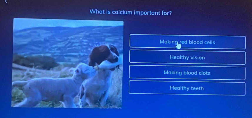 What is calcium important for?
Making red blood cells
Healthy vision
Making blood clots
Healthy teeth