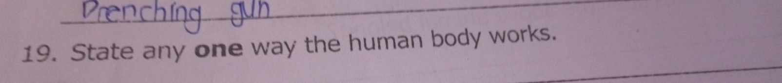 State any one way the human body works. 
_