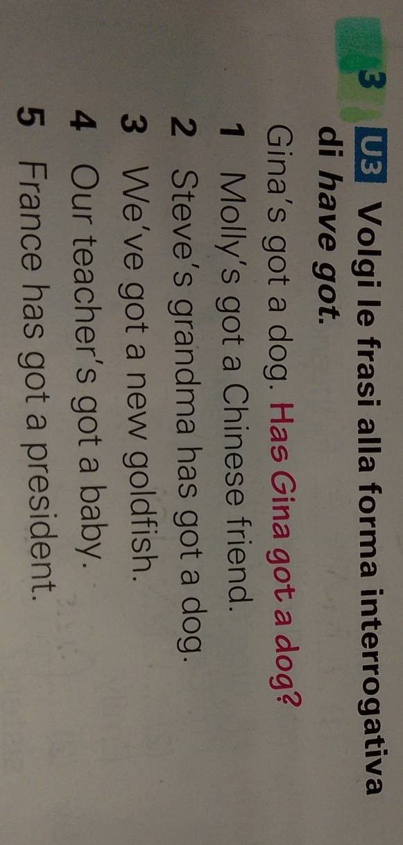 Volgi le frasi alla forma interrogativa 
di have got. 
Gina's got a dog. Has Gina got a dog? 
1 Molly's got a Chinese friend. 
2 Steve's grandma has got a dog. 
3 We've got a new goldfish. 
4 Our teacher's got a baby. 
5 France has got a president.