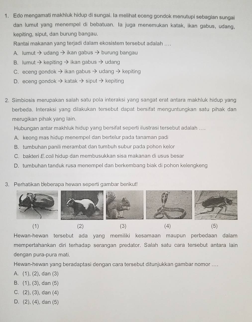 Edo mengamati makhluk hidup di sungai. Ia melihat eceng gondok menutupi sebagian sungai
dan lumut yang menempel di bebatuan. Ia juga menemukan katak, ikan gabus, udang,
kepiting, siput, dan burung bangau.
Rantai makanan yang terjadi dalam ekosistem tersebut adalah ....
A. lumut → udang → ikan gabus → burung bangau
B. lumut → kepiting → ikan gabus → udang
C. eceng gondok → ikan gabus → udang → kepiting
D. eceng gondok → katak → siput → kepiting
2. Simbiosis merupakan salah satu pola interaksi yang sangat erat antara makhluk hidup yang
berbeda. Interaksi yang dilakukan tersebut dapat bersifat menguntungkan satu pihak dan
merugikan pihak yang lain.
Hubungan antar makhluk hidup yang bersifat seperti ilustrasi tersebut adalah ....
A. keong mas hidup menempel dan bertelur pada tanaman padi
B. tumbuhan panili merambat dan tumbuh subur pada pohon kelor
C. bakteri E.coli hidup dan membusukkan sisa makanan di usus besar
D. tumbuhan tanduk rusa menempel dan berkembang biak di pohon kelengkeng
3. Perhatikan beberapa hewan seperti gambar berikut!
(1) (2) (3) (4) (5)
Hewan-hewan tersebut ada yang memiliki kesamaan maupun perbedaan dalam
mempertahankan diri terhadap serangan predator. Salah satu cara tersebut antara lain
dengan pura-pura mati.
Hewan-hewan yang beradaptasi dengan cara tersebut ditunjukkan gambar nomor ....
A. (1),(2) dan (3)
B. (1),(3) dan (5)
C. (2),(3) , dan (4)
D. (2),(4) , dan (5)