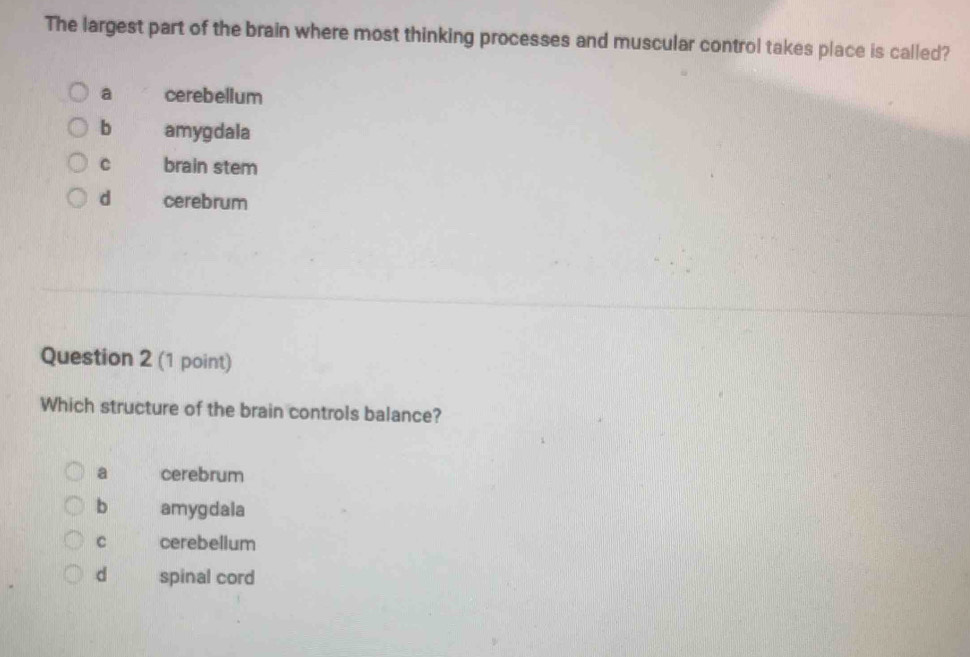 The largest part of the brain where most thinking processes and muscular control takes place is called?
a cerebellum
b amygdala
C brain stem
d cerebrum
Question 2 (1 point)
Which structure of the brain controls balance?
a cerebrum
b amygdala
C cerebellum
d spinal cord