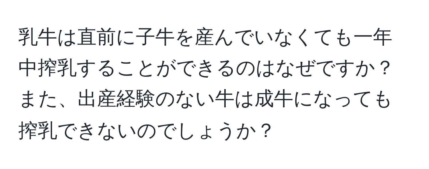 乳牛は直前に子牛を産んでいなくても一年中搾乳することができるのはなぜですか？また、出産経験のない牛は成牛になっても搾乳できないのでしょうか？